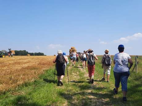 Randonnée pédestre