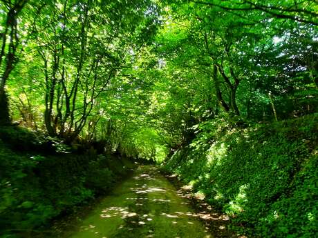 Randonnée apéro My French Rhum