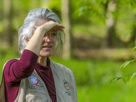 Bains de nature, Sylvothérapie & Aventures sensorielles