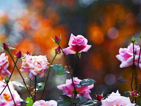 Eternity in a Moment