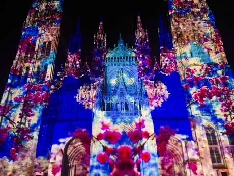 "Cathédrale de lumière" Floraison sauvage