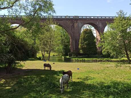 Le Chemin Vert de Petit Caux