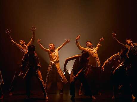 Danse : In the Brain