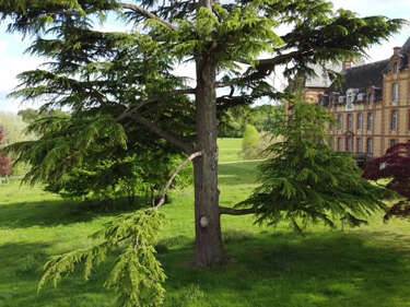 Visite guidée du château de Merval dans le cadre des JEP 2025