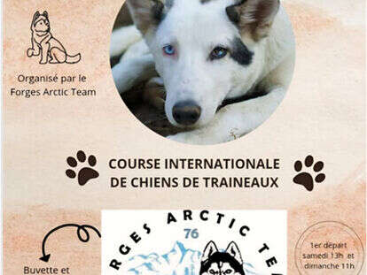 Course internationale de chiens de traineaux