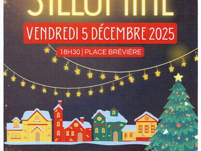 ILLUMINATIONS et MUSIQUES de NOËL