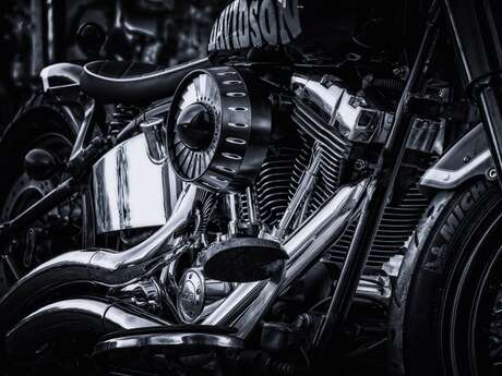 Circus & Co Microfest - Festival Harley Davidson et Concerts