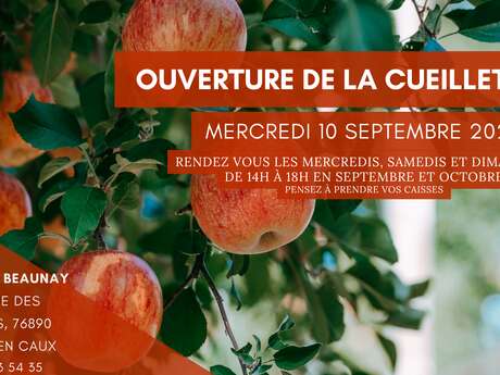 Ouverture de la cueillette du verger de Beaunay