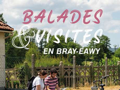 Sortie Nature : Les Reptiles