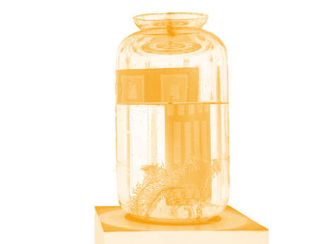 [Magie & musique] Tropisme poétique