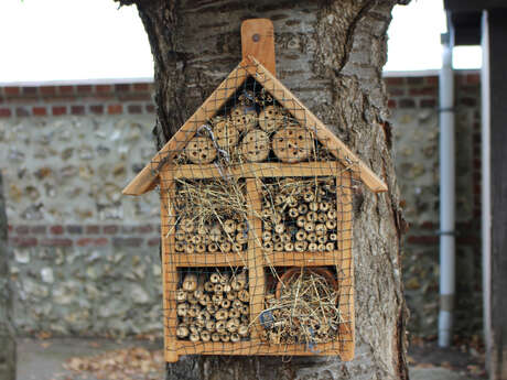 Un hôtel pour les insectes