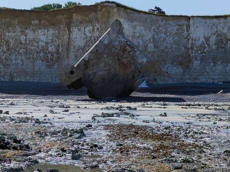 [Balade nature] Le littoral à marée basse
