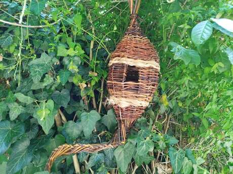 Cours de Vannerie sauvage et d'osier Cours de Vannerie sauvage et d'osier