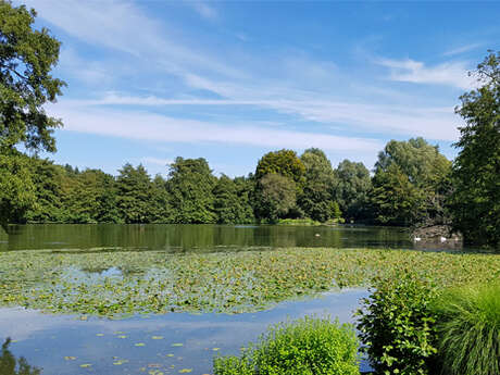 Sortie nature : "Le parc de Rouelles"