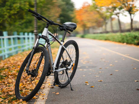 Location de vélos · Leclerc