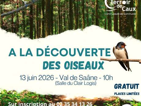 A la découverte des oiseaux