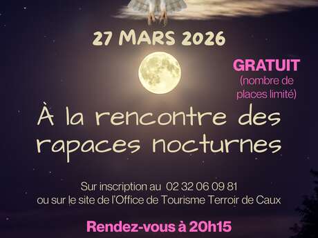 A la découverte des rapaces nocturnes
