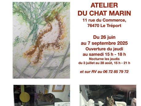 Exposition : "L'Eté du Chat 2025 : les 10 ans du chat Marin !"
