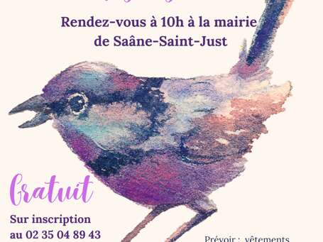 A la découverte des oiseaux