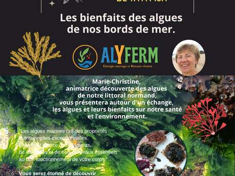 Intervention - Les bienfaits des algues