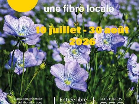 Le lin, une fibre locale