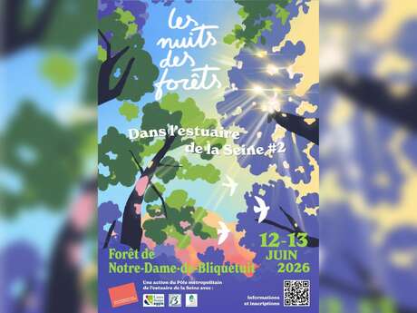Les nuits des forêts