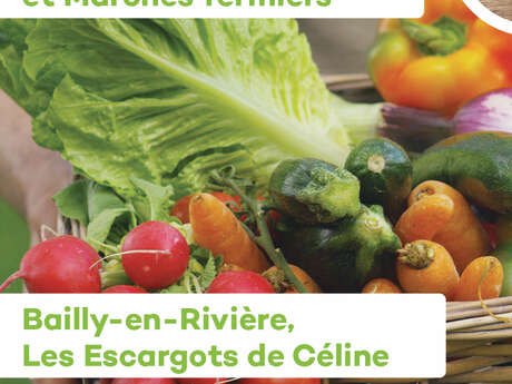 Marchés des producteurs et marchés fermiers