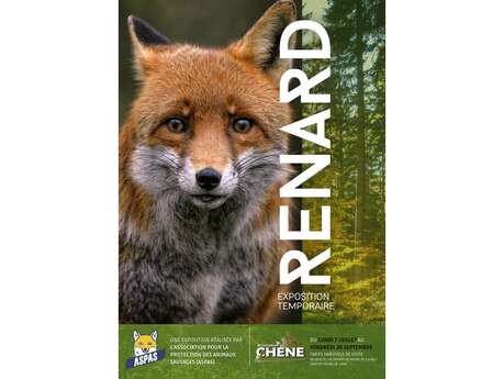 Exposition – Renard Exposition – Renard