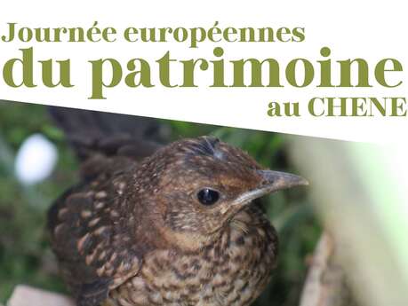 Journées Européennes du Patrimoine au CHENE