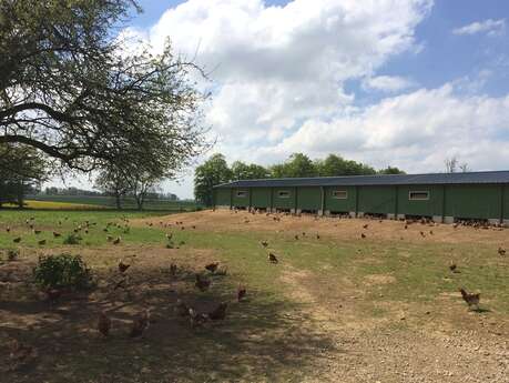 A la ferme de La Bruyère, on s’éclate en plein air !