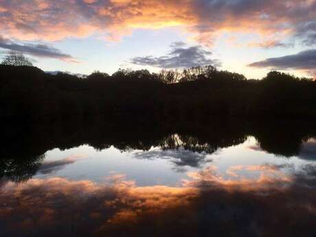 Animation nature - le printemps nocturne