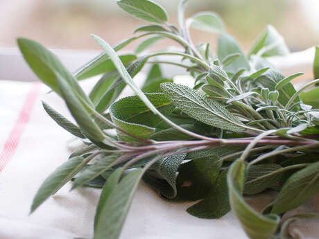 Atelier plantation aux bacs aromatiques