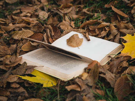 Atelier petite enfance : l'automne
