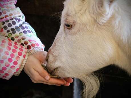 Atelier petits fermiers