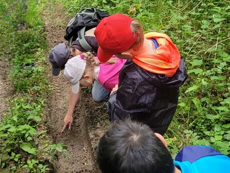 Objectif biodiversité : jeu de piste en pleine nature