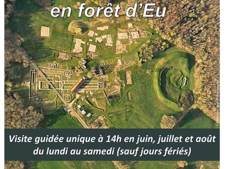 Visite guidée du site archéologique BRIGA