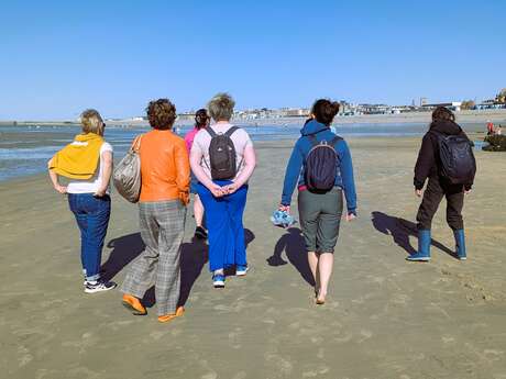 [Balade nature] Le littoral à marée basse