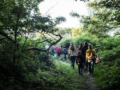 L'Explorateur : Plantes vertueuses et sauvages de la valleuse d'Antifer
