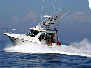 Concours de Pêche en mer