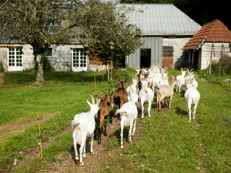 Chèvrerie, Ferme pédagogique du Val de Bures