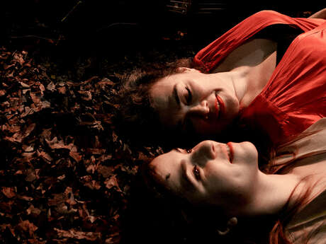 Opéra - Birds on a Wire - Dom La Nena & Rosemary Standley