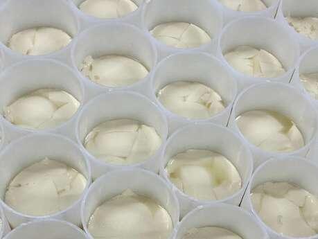 Camembert le 5 frères