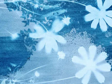 Atelier famille : Cyanotype pour enfant