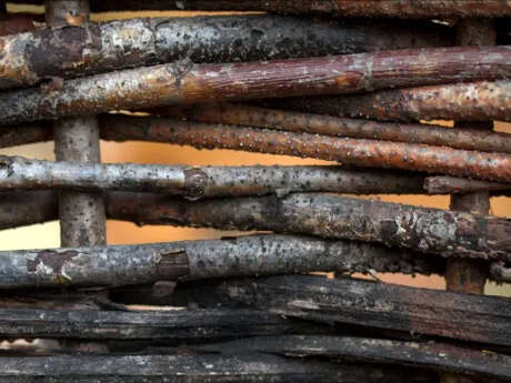 Atelier créatif : Tressage naturel