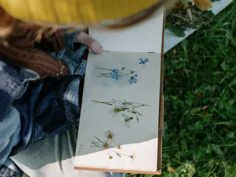 Atelier créatif : Le dessin botanique