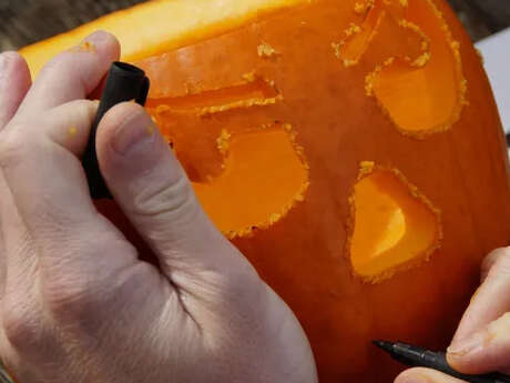 Atelier famille : La sculpture sur citrouille