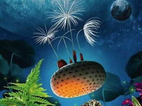 [Ciné Relax] Planètes