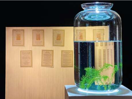 [Performance musicale]