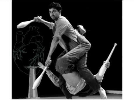 Danse : La fabuleuse histoire de Basarkus