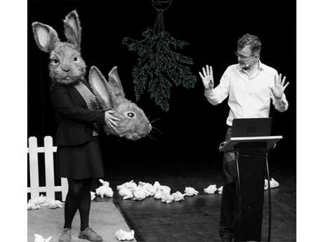Théâtre : Le problème lapin - Cartographie 7